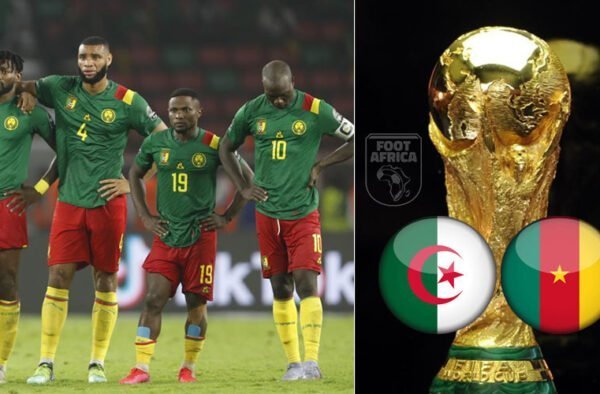Cameroun - Algérie - Lions