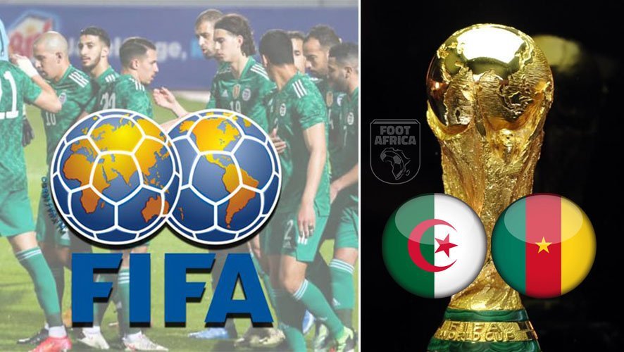 Algérie - Cameroun - FIFA