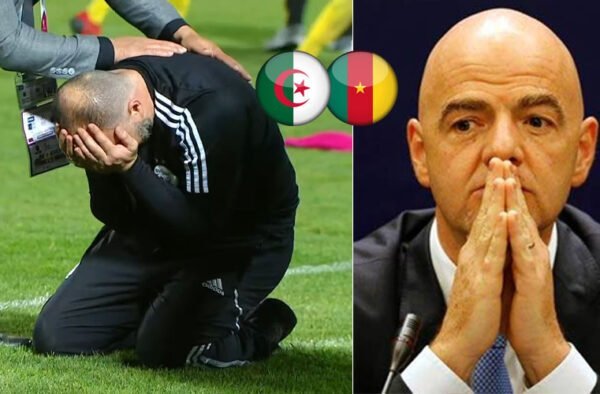 Algérie - Cameroun - FIFA