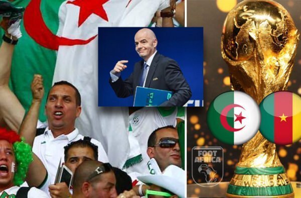 Algérie - Cameroun -FIFA