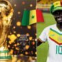 Mondial 2022: Le Sénégal chasse un nouveau joyau !