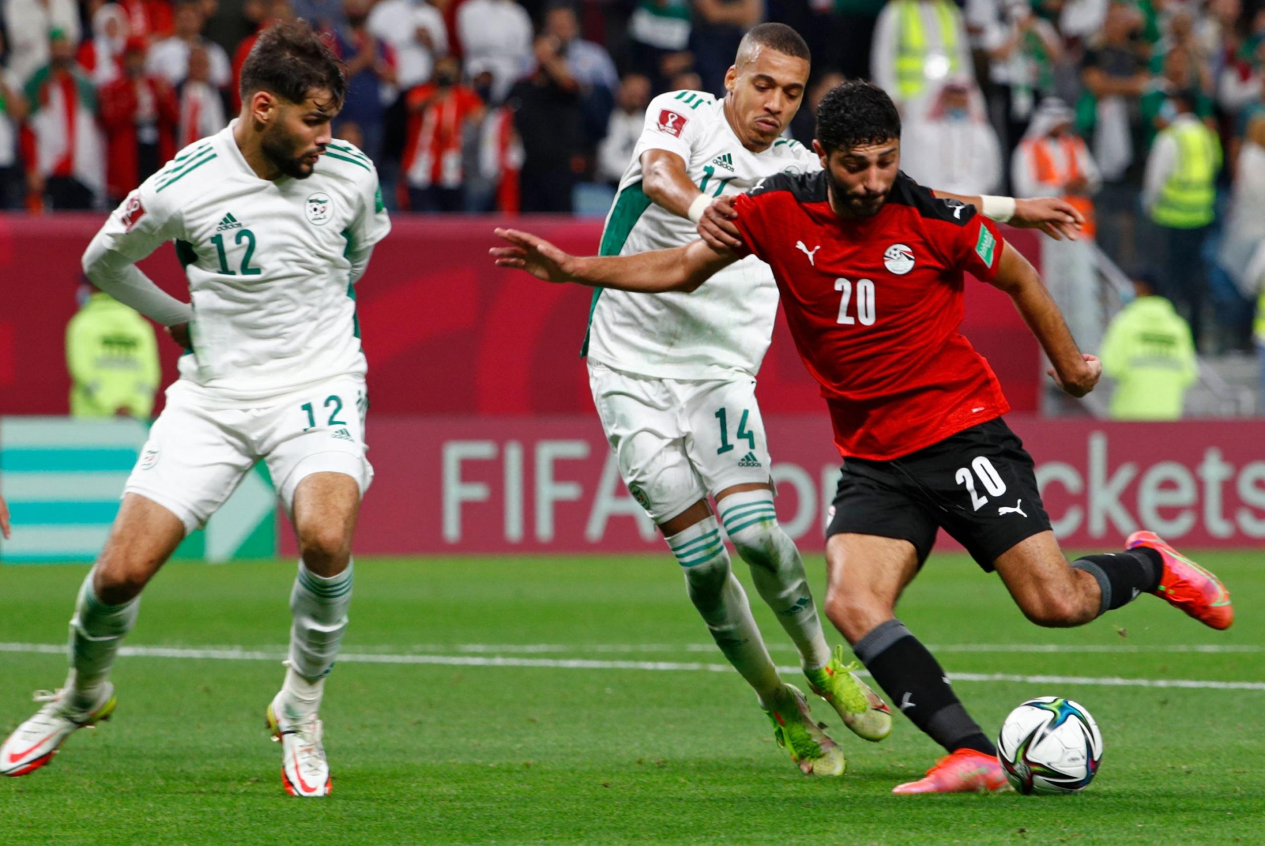 مصر ضد الجزائر